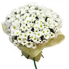 Beyaz çiçek buketi